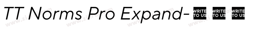 TT Norms Pro Expand字体转换 TT Norms Pro Expand字体转换